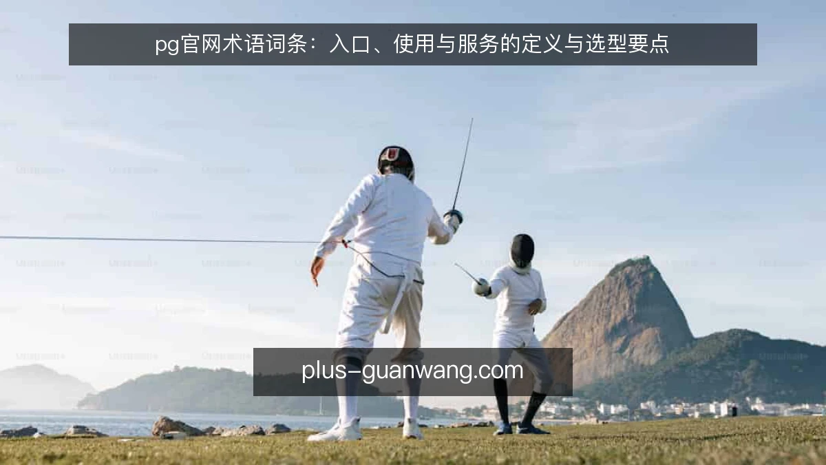 pg官网术语词条：入口、使用与服务的定义与选型要点