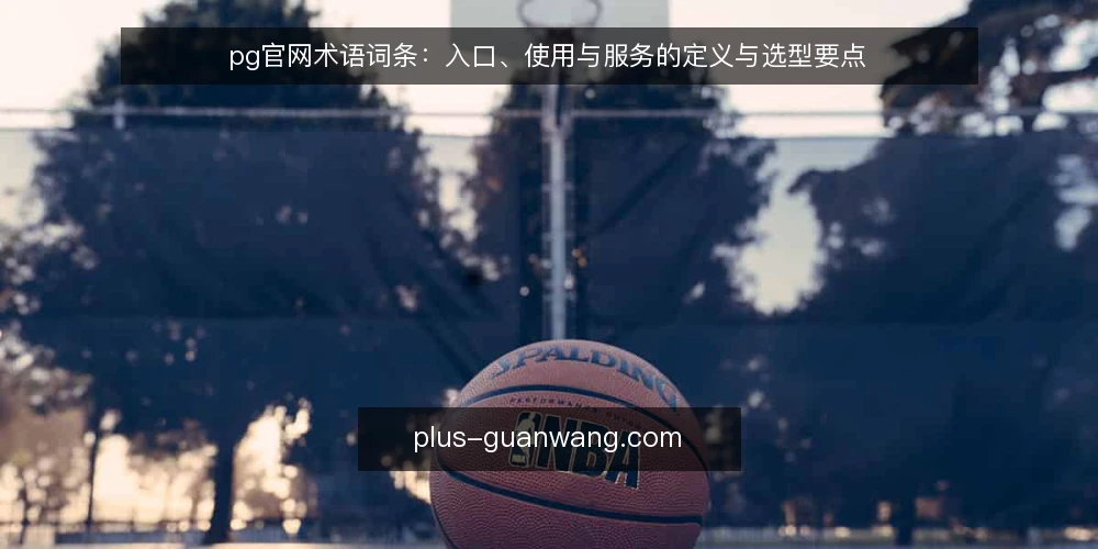pg官网术语词条:入口、使用与服务的定义与选型要点 — pg官网术语定义与范围 配图