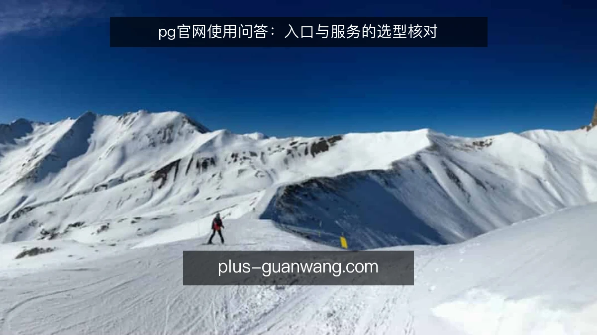 pg官网使用问答：入口与服务的选型核对