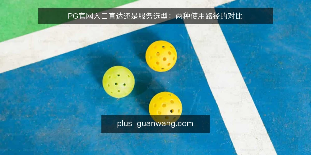 PG官网入口直达还是服务选型:两种使用路径的对比 — 对比前的决策标准 配图