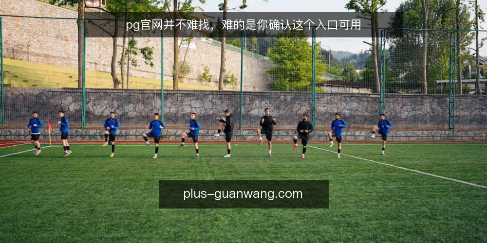 pg官网并不难找,难的是你确认这个入口可用 — 入口失效是常见痛点 配图