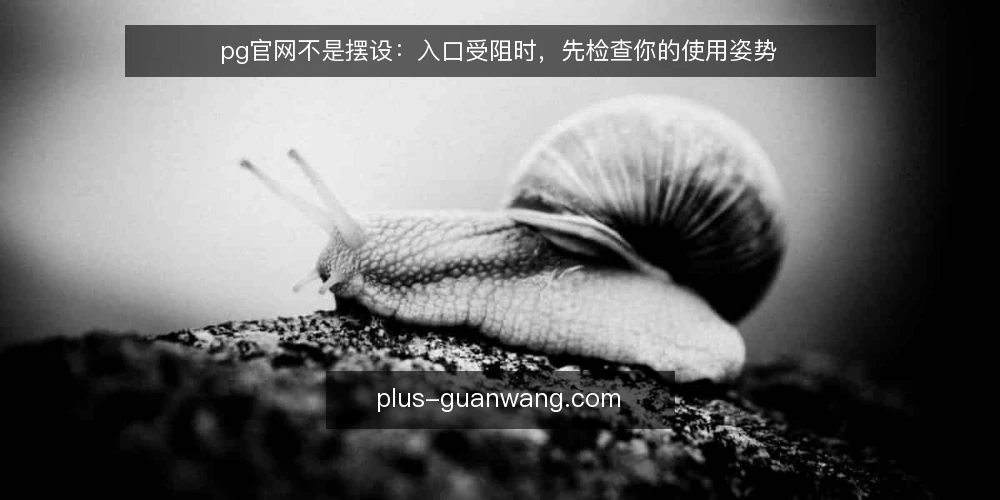 pg官网不是摆设：入口受阻时，先检查你的使用姿势 — 为什么你会在pg官网入口卡住 配图