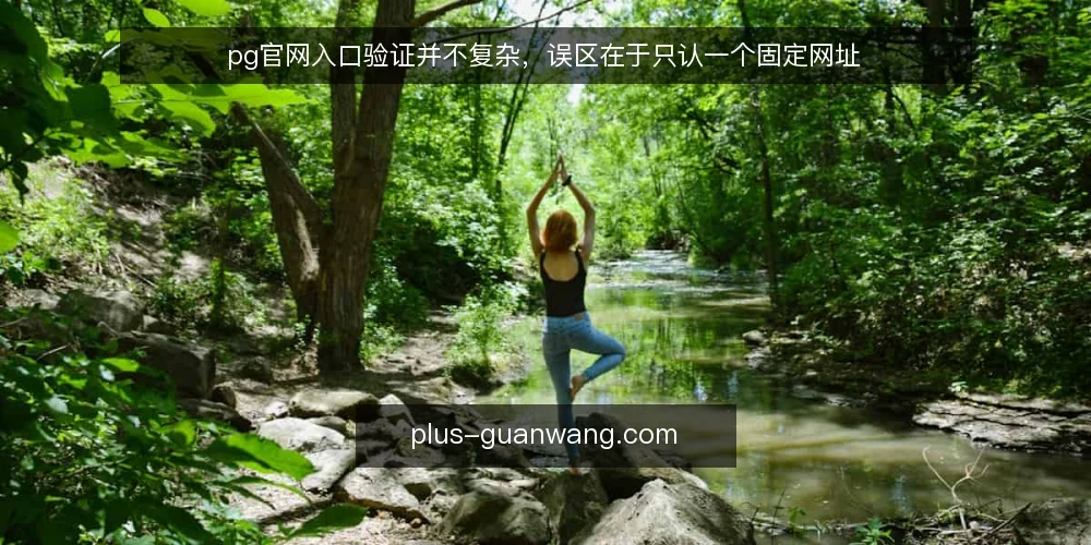 pg官网入口验证并不复杂,误区在于只认一个固定网址 — 先看信号:入口可用性不等于页面能打开 配图
