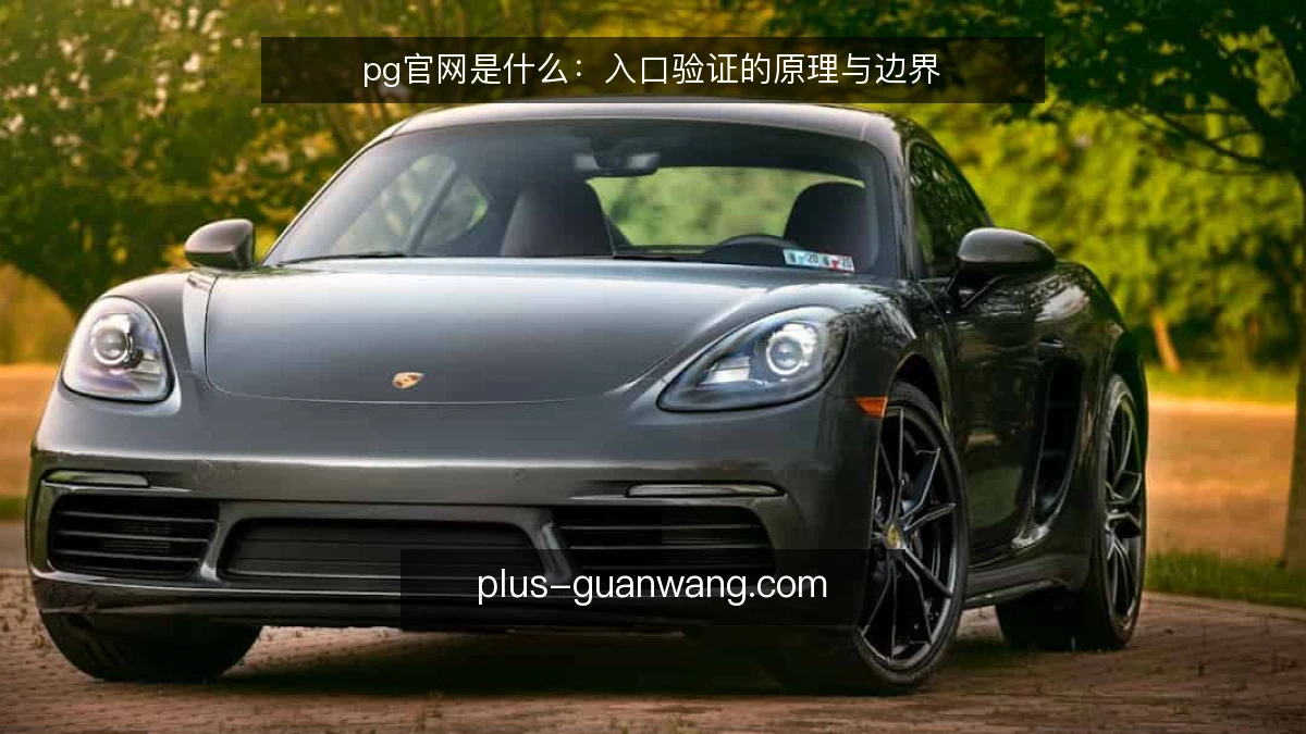 pg官网是什么：入口验证的原理与边界