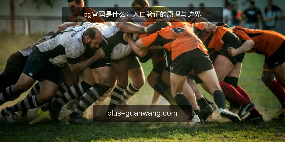 pg官网是什么：入口验证的原理与边界 — 所谓pg官网：定义与常见误解 配图