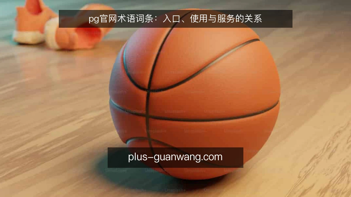 pg官网术语词条：入口、使用与服务的关系