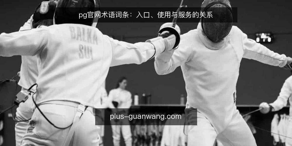 pg官网术语词条：入口、使用与服务的关系 — 准备阶段：先明确要核对的术语与范围 配图