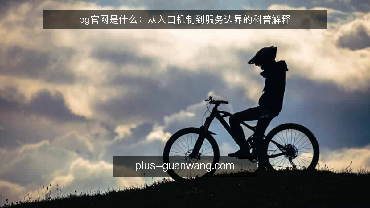 pg官网是什么:从入口机制到服务边界的科普解释